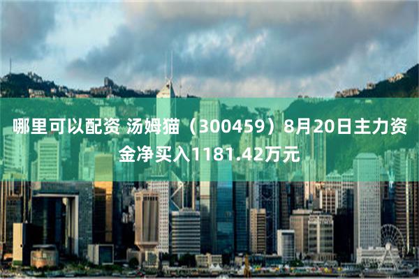 哪里可以配资 汤姆猫（300459）8月20日主力资金净买入1181.42万元