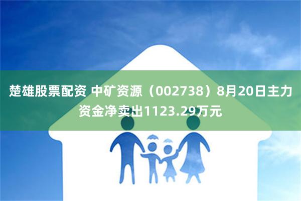 楚雄股票配资 中矿资源（002738）8月20日主力资金净卖出1123.29万元