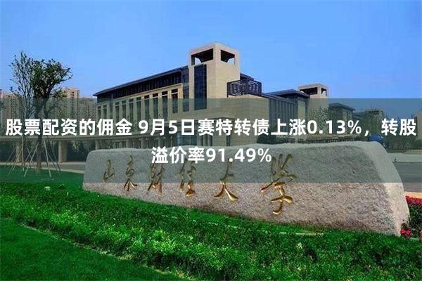 股票配资的佣金 9月5日赛特转债上涨0.13%，转股溢价率91.49%