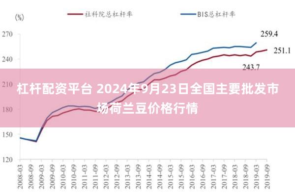 杠杆配资平台 2024年9月23日全国主要批发市场荷兰豆价格行情