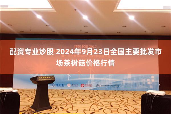 配资专业炒股 2024年9月23日全国主要批发市场茶树菇价格行情