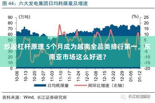 炒股杠杆原理 5个月成为越南全品类排行第一，东南亚市场这么好进？