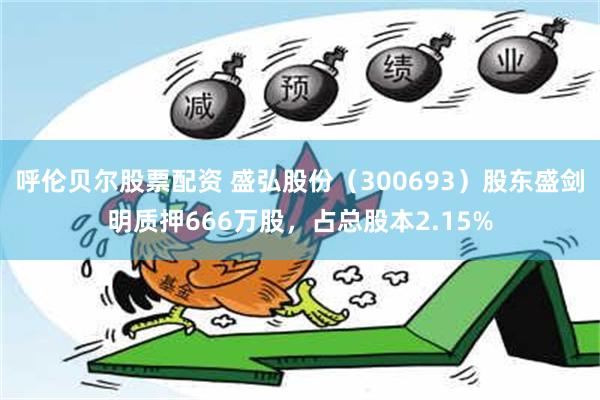 呼伦贝尔股票配资 盛弘股份（300693）股东盛剑明质押666万股，占总股本2.15%