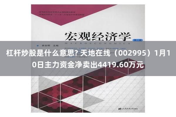 杠杆炒股是什么意思? 天地在线（002995）1月10日主力资金净卖出4419.60万元