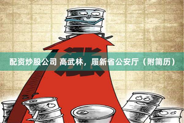 配资炒股公司 高武林，履新省公安厅（附简历）